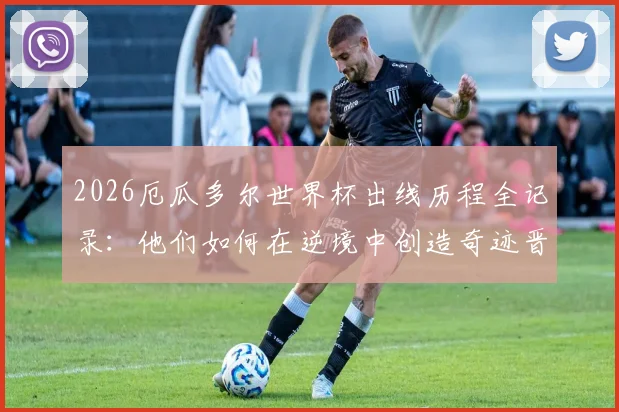 2026厄瓜多尔世界杯出线历程全记录：他们如何在逆境中创造奇迹晋级16强